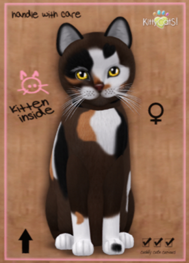 KittyCatS Box - Genesis - Patch II -Serenity - girl