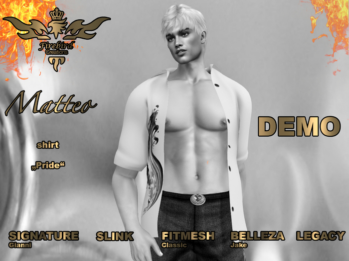 Firebird Matteo Open Front Shirt Pride DEMO