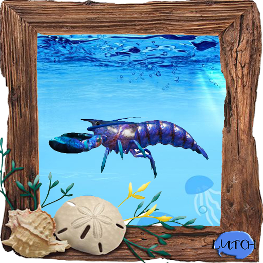 (7S) Uncommon Fish: Blue Lobster