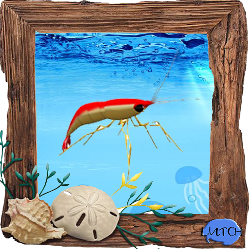 (7S) Common Fish: Skunk Shrimp