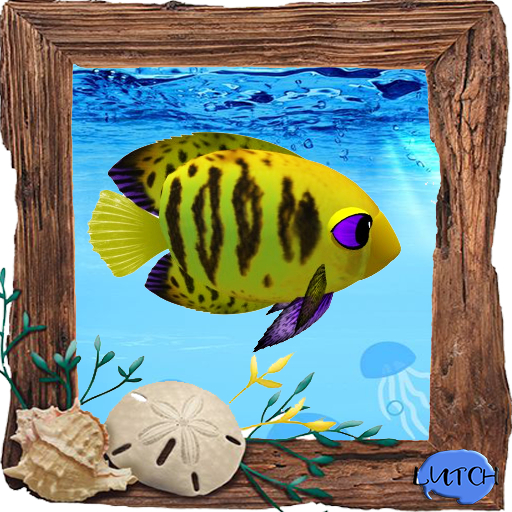 (7S) Common Fish: Mama Flame Angel Yellow