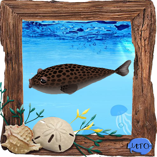 (7S) Uncommon Fish: Puffer Fish