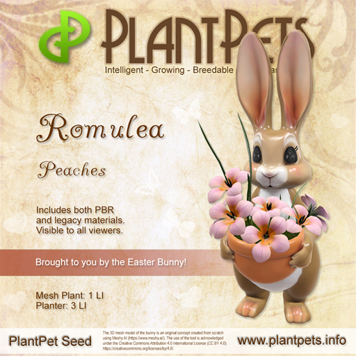 PlantPet Seed [Romulea *Peaches*]