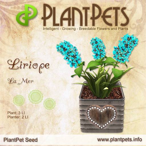 PlantPet Seed [Liriope *La Mer*] Rare Elite