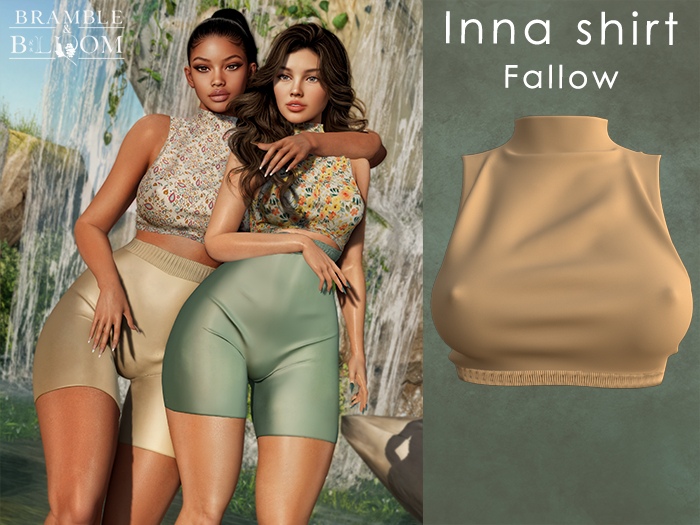 B&B: Inna top (fallow) 