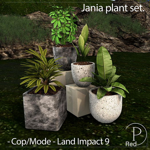 P.ReD.  Jania plant set - Box