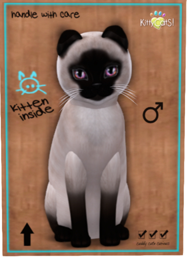 KittyCatS Box - Siamese - Seal