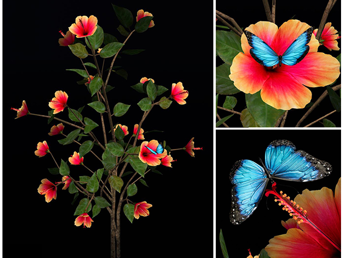 Hibiscus Tree with Morpho Butterfly