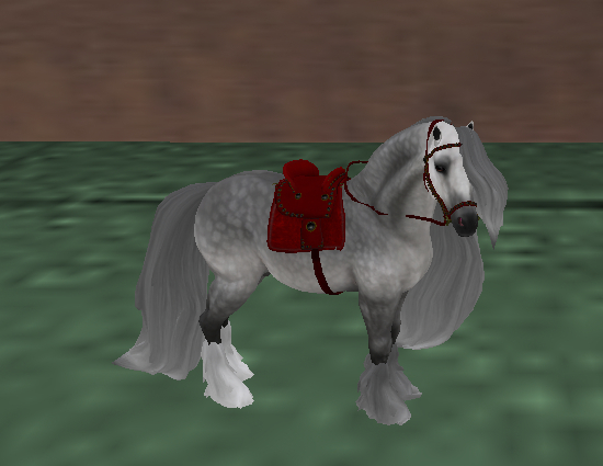 *E* RHR Companion Gypsy Vanner Dapple Baroque 1