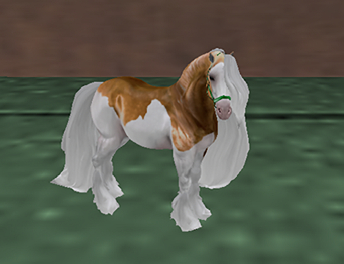 *E* RHR Companion Gypsy Vanner Palomino Halter 1