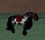 *E* RHR Companion Gypsy Vanner Piebald Baroque