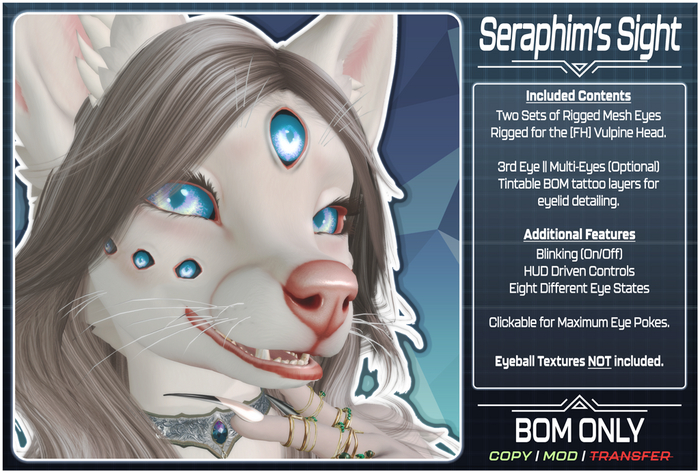 ⊹˚₊Seraphim's Sight ₊˚⊹ 