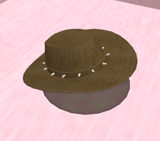 cowboy Hat 2T2