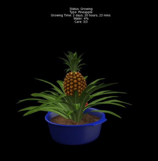 DFS Pineapple Planter - Beach Play (FSB#38)