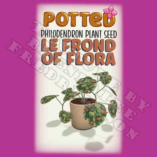 Potted: Philodendron Plant Seed: LE Frond of Flora (ACTUAL PLANT SEED)