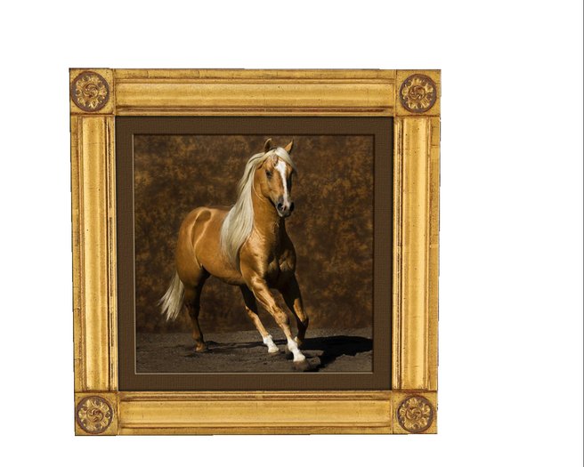 Galloping Horse 2a
