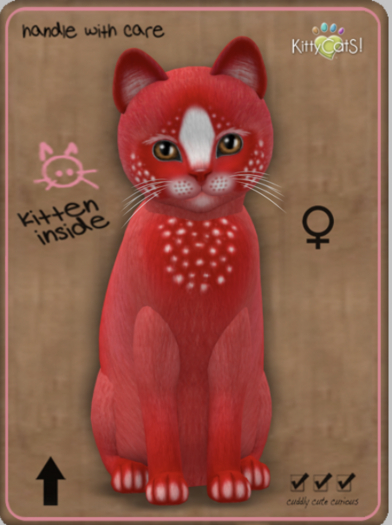 KittyCatS Box - Confetti - CherryBerry Female