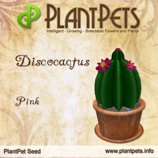 PlantPet Seed [Discocactus *Pink*]