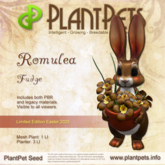 PlantPet Seed [Romulea *Fudge*] Limited