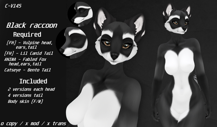 Raccoon Black