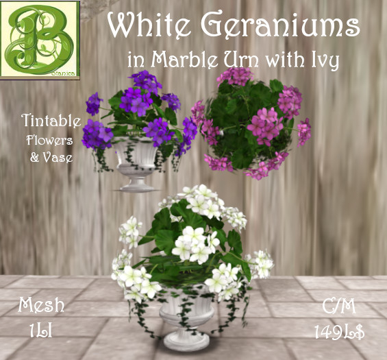 White (Tintable) Geraniums in Ivy Urn, 1LI (ADD)