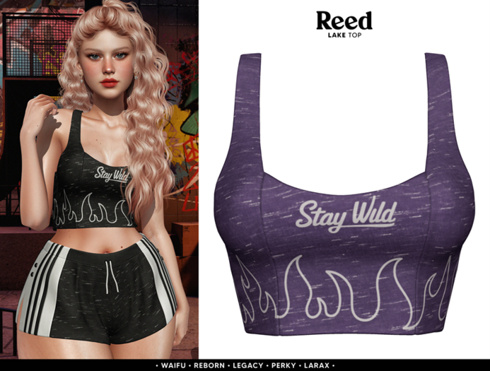 REED - LAKE TOP PURPLE