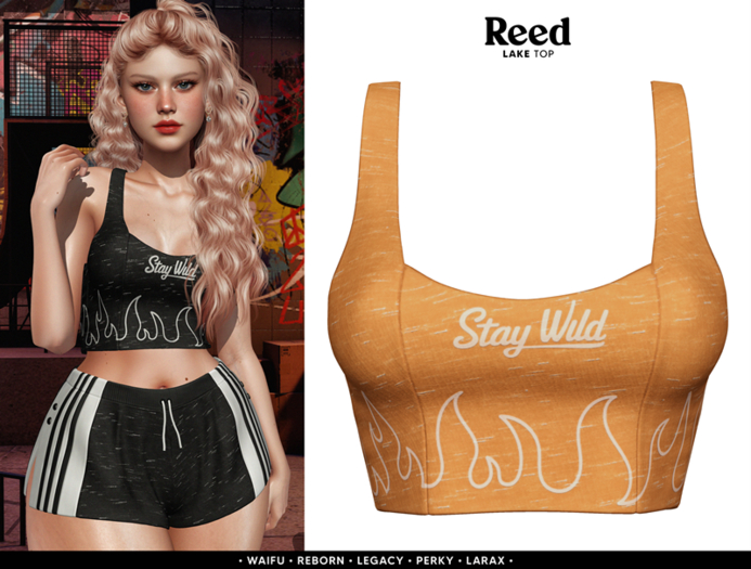 REED - LAKE TOP ORANGE