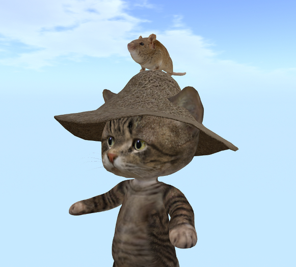 #STRAW HAT for Dinkie Cats (add)