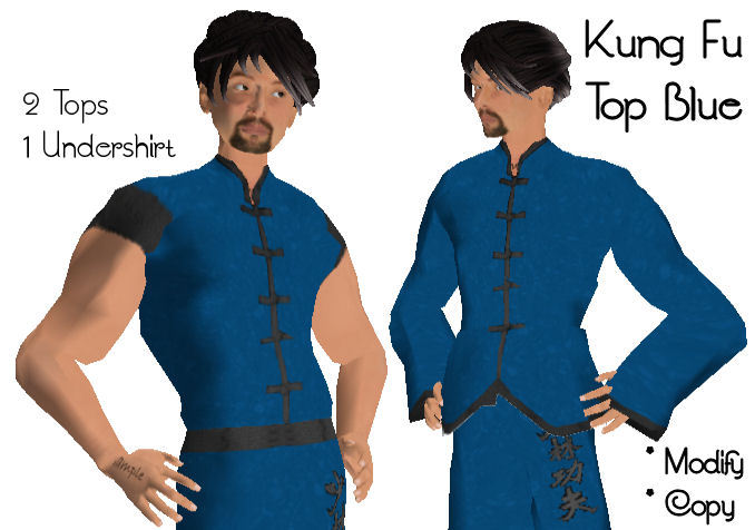 (WildThing) *- Kung Fu Top Blue -*