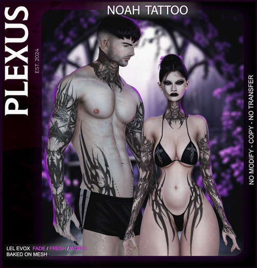 [PLEXUS]-Noah-Tattoo.
