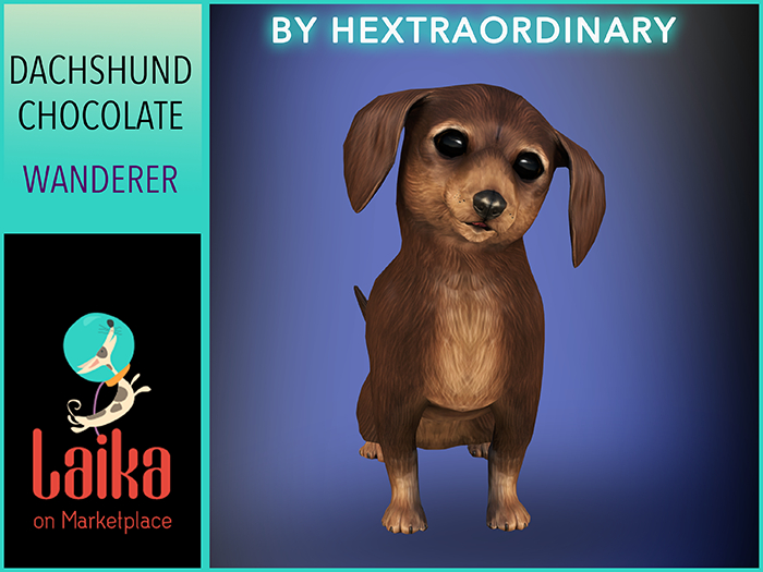 4. *HEXtraordinary* Dachshund Wanderer Chocolate