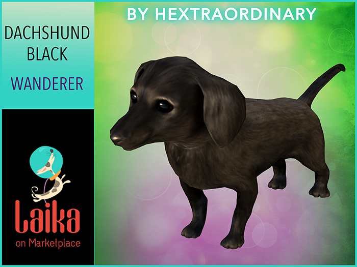 8. *HEXtraordinary* Dachshund Wanderer Black