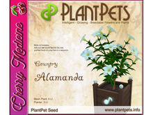 PlantPet Seed [Alamanda *Country*]