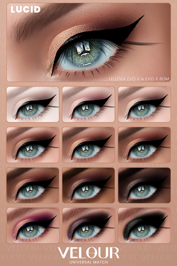 VELOUR "LUCID" EYESHADOW