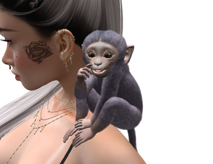SEmotion Libellune Little Monkey Animesh COMMON 15