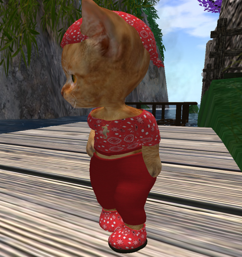 Dinkie Bandana Crop/Capris red