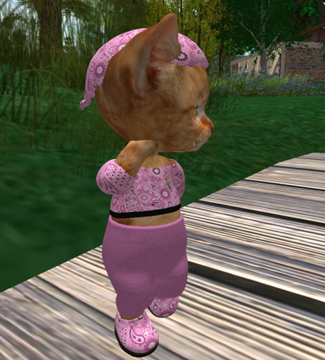 Dinkie Bandana Crop/Capris pink