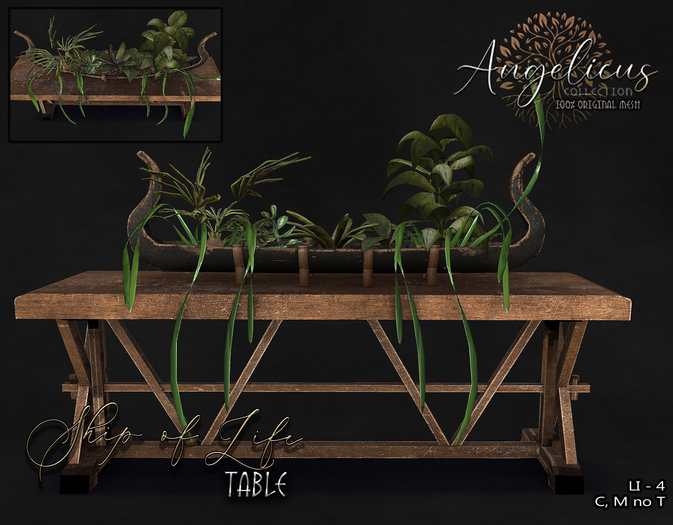 .AngelicUs. -Ship of Life- table  