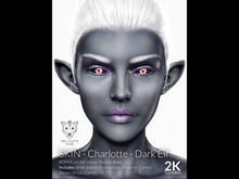{DS} - Charlotte - DARK ELF 2K