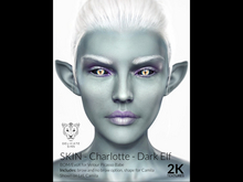 {DS} - Charlotte - IRON 2K
