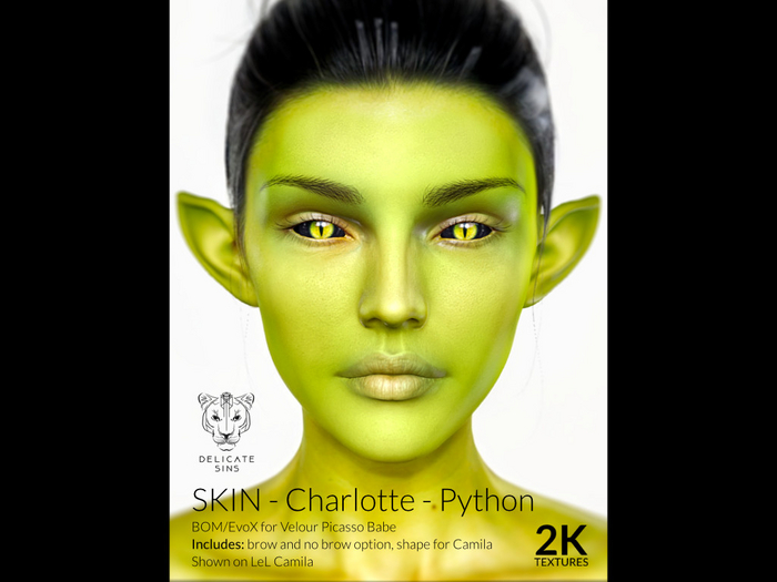 {DS} - Charlotte - PYTHON 2K