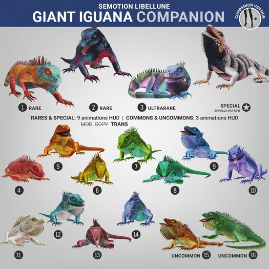SEmotion Libellune Giant Iguana Companion COMMON 05