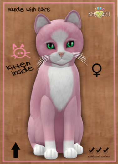 KittyCatS Box - Chateau Cat - Pink & White No. 1
