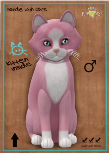 KittyCatS Box - Chateau Cat - Pink & White No. 1