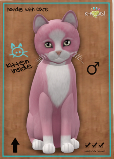 KittyCatS Box - Chateau Cat - Pink & White No. 1 - Bigger de Big