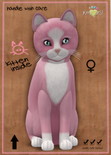 KittyCatS Box - Chateau Cat - Pink & White No. 1