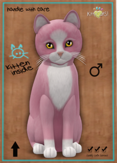 KittyCatS Box - Chateau Cat - Pink & White No. 1