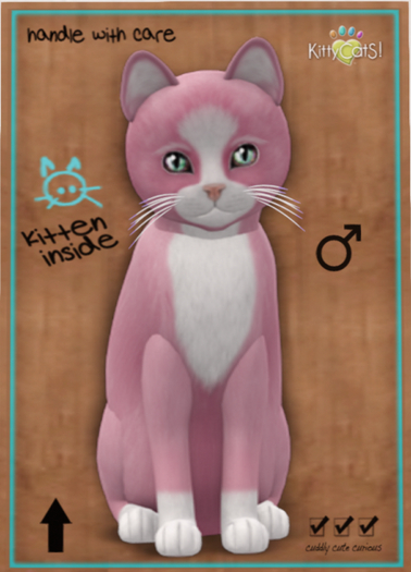 KittyCatS Box - Chateau Cat - Pink & White No. 1