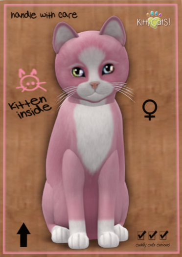 KittyCatS Box - Chateau Cat - Pink & White No. 1