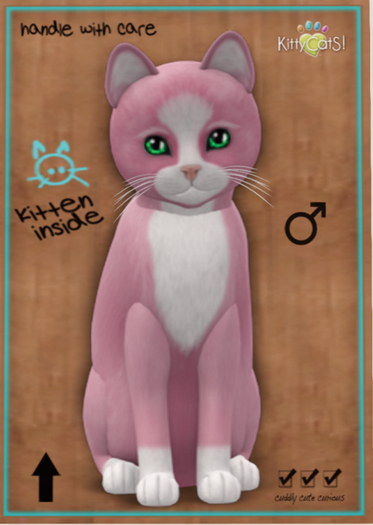 KittyCatS Box - Chateau Cat - Pink & White No. 1